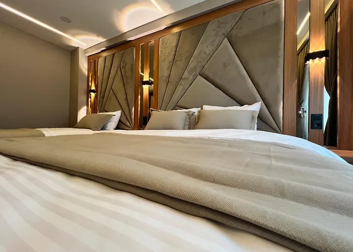 Hotel Vipinnhotels *